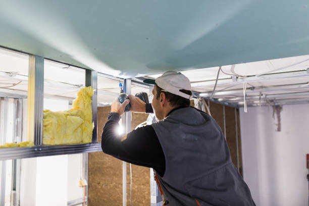 Best Insulation Materials and Products in Burtonsville, MD