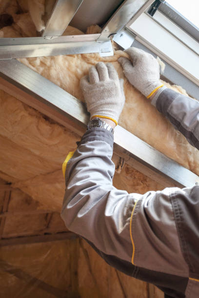 Best Insulation Installation Services in Burtonsville, MD