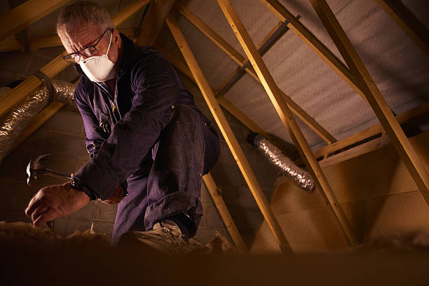 Best Commercial Insulation in Burtonsville, MD